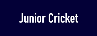 Junior Cricket 2.jpg