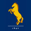 Holmesdale CC U13 Stallions